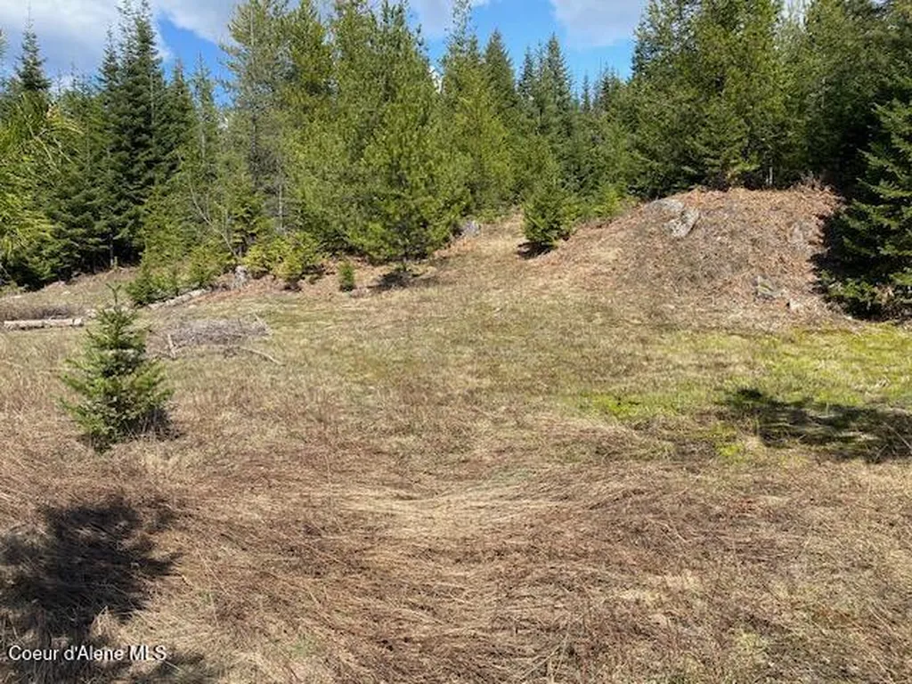 Nna Upper Gold Creek Road Sandpoint ID 83864