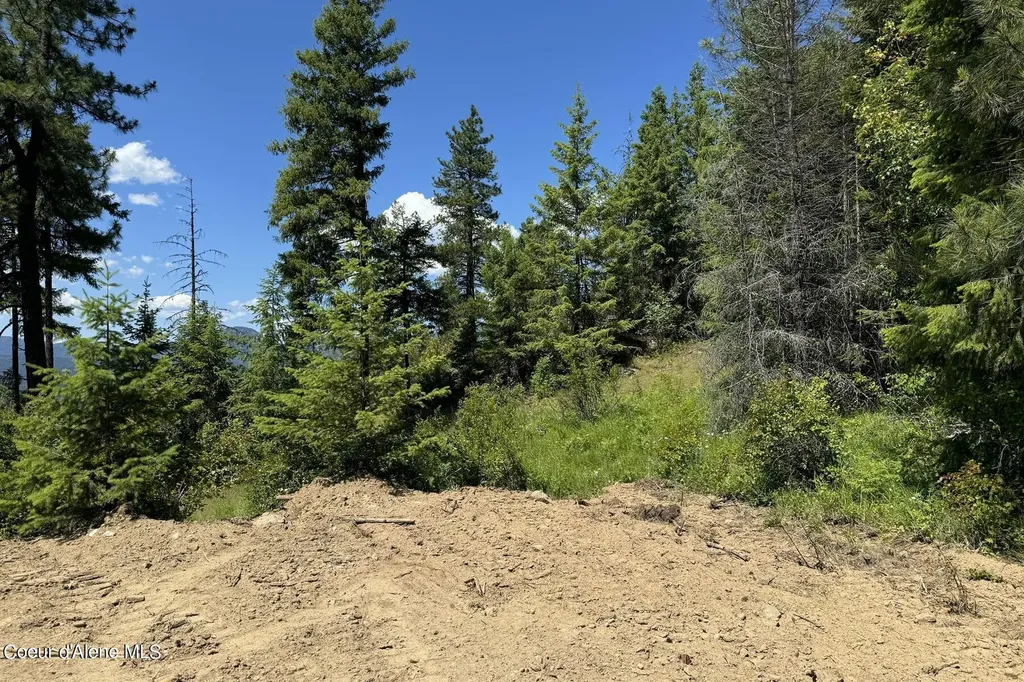 Nna Lot 2 Overlook Drive Sagle ID 83860