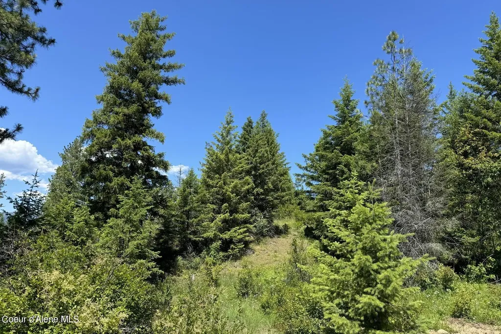 Nna Lot 2 Overlook Drive Sagle ID 83860