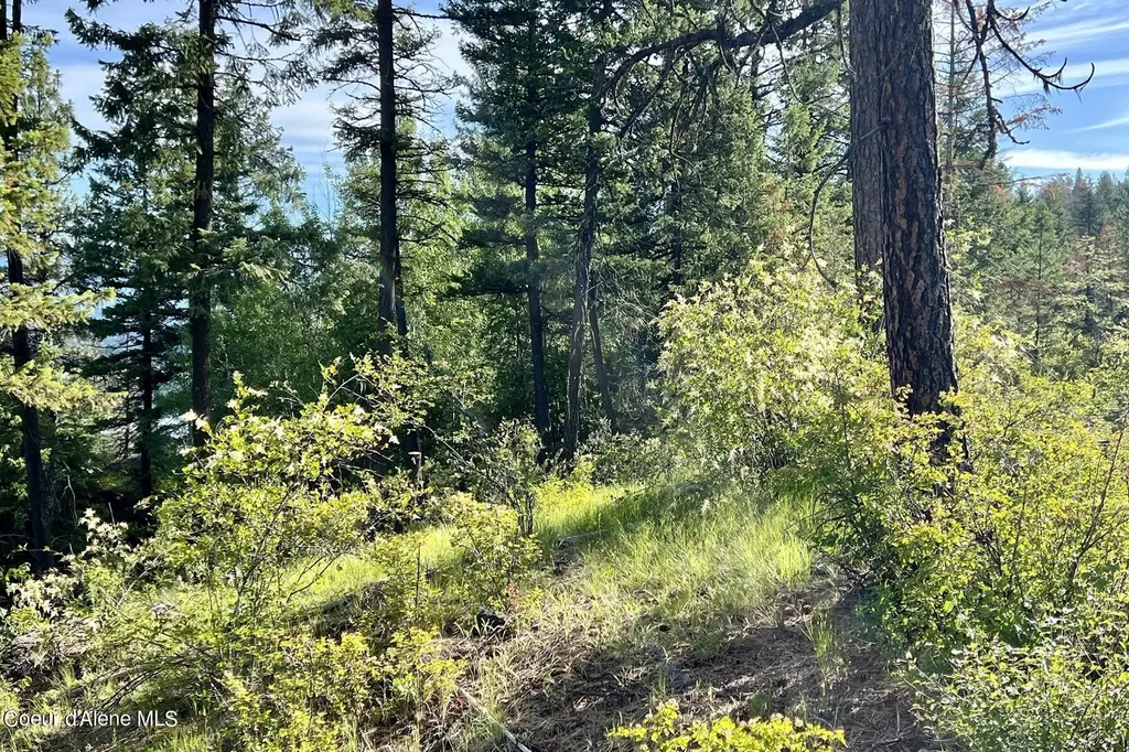 Nna Lot 2 Overlook Drive Sagle ID 83860
