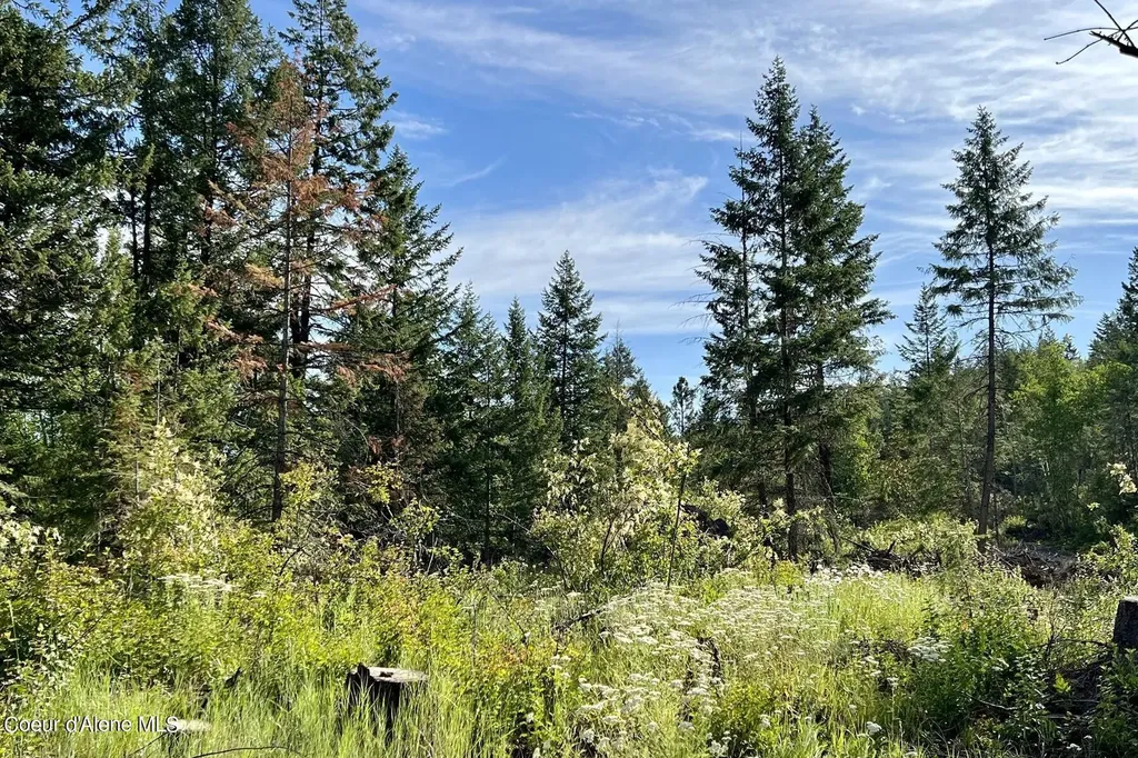 Nna Lot 2 Overlook Drive Sagle ID 83860