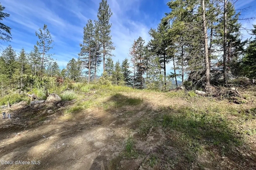 Nna Lot 2 Overlook Drive Sagle ID 83860