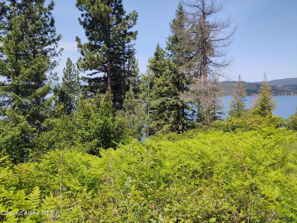 19XXX S Headlands Drive Harrison ID 83833