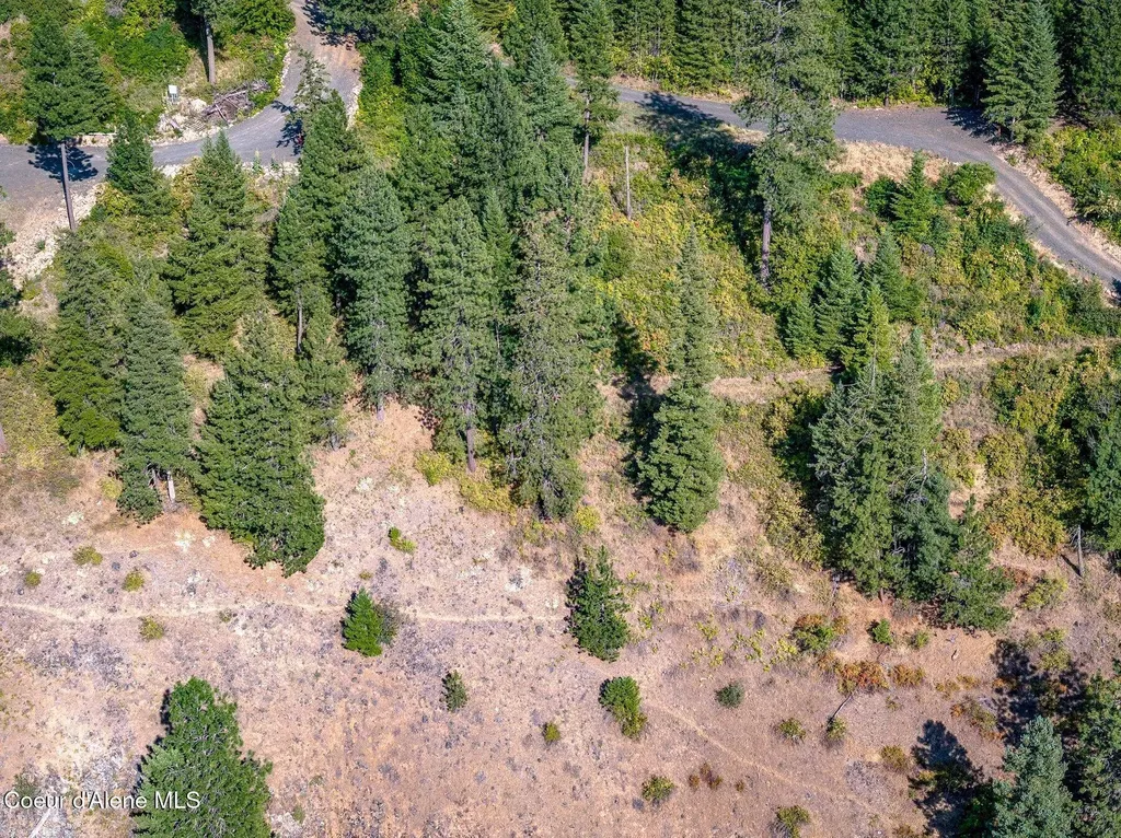 19XXX S Headlands Drive Harrison ID 83833