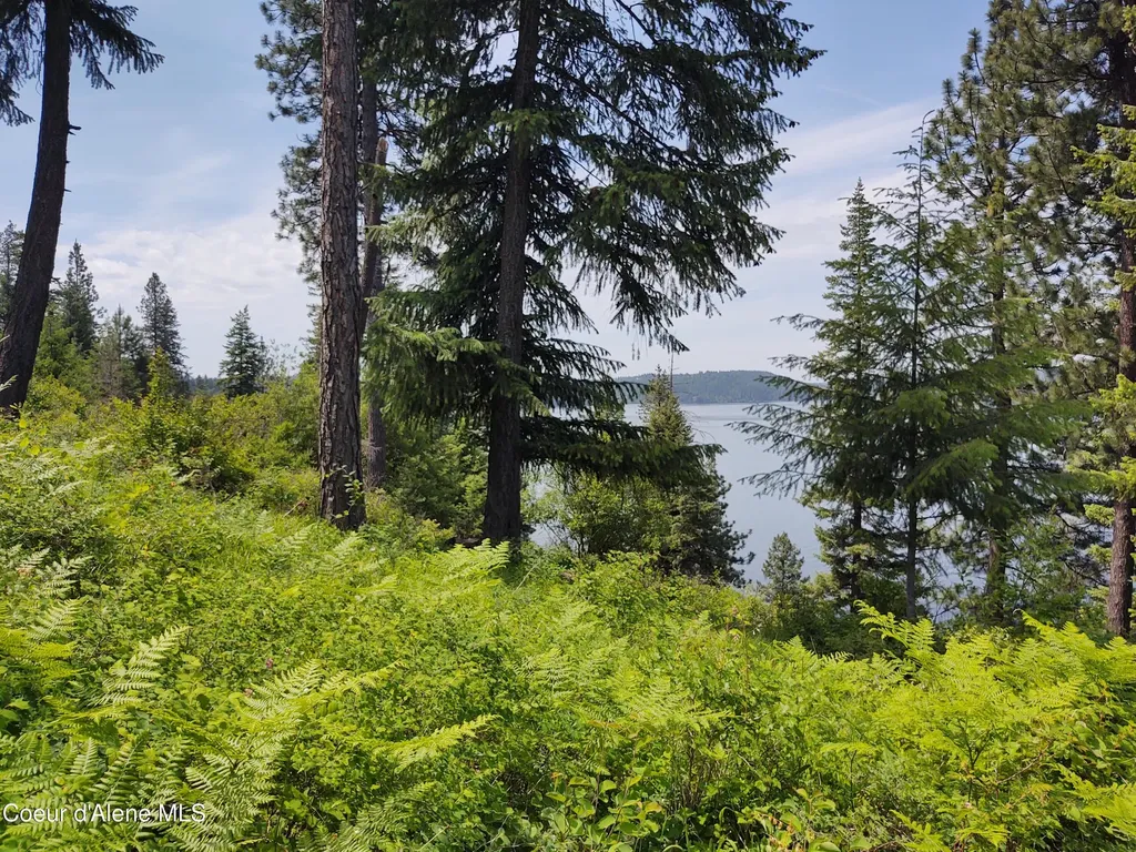 19XXX S Headlands Drive Harrison ID 83833