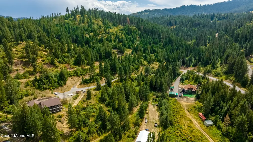1870 E Flying Eagle Road Harrison ID 83833