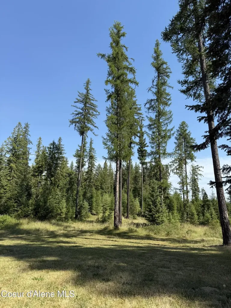 77091 S Highway 3 St. Maries ID 83861
