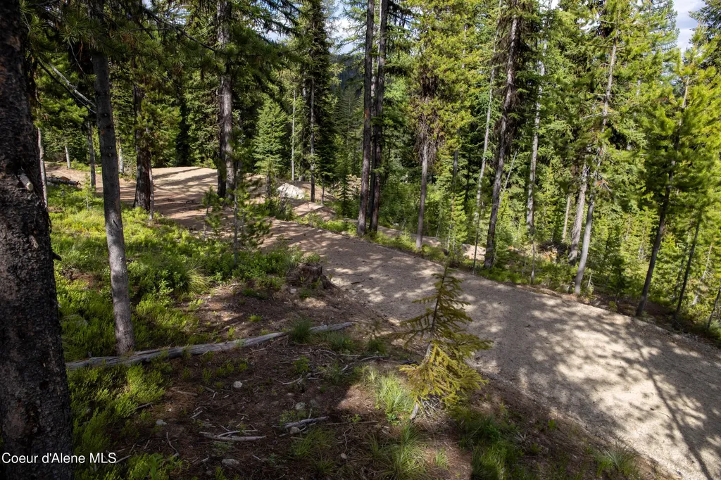 Parcel 4 Packers Meadow Road 373 Unincorporated ID 83525