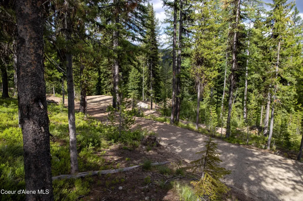 Parcel 4 Packers Meadow Road 373 Unincorporated ID 83525
