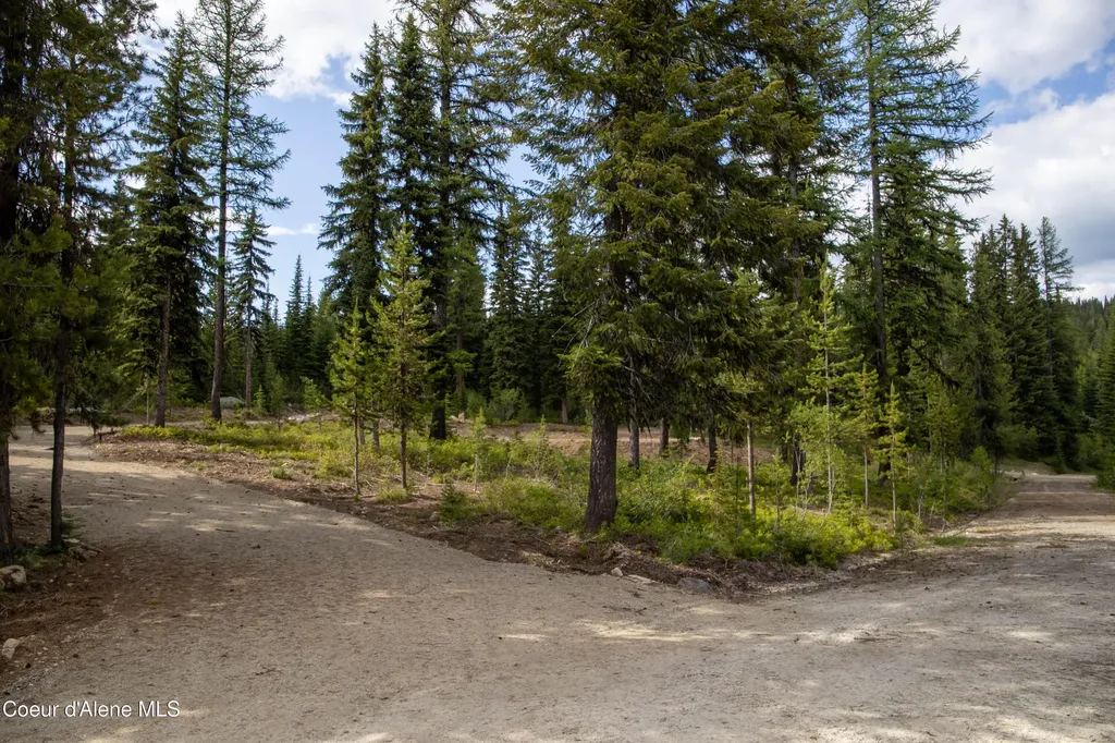 Parcel 4 Packers Meadow Road 373 Unincorporated ID 83525