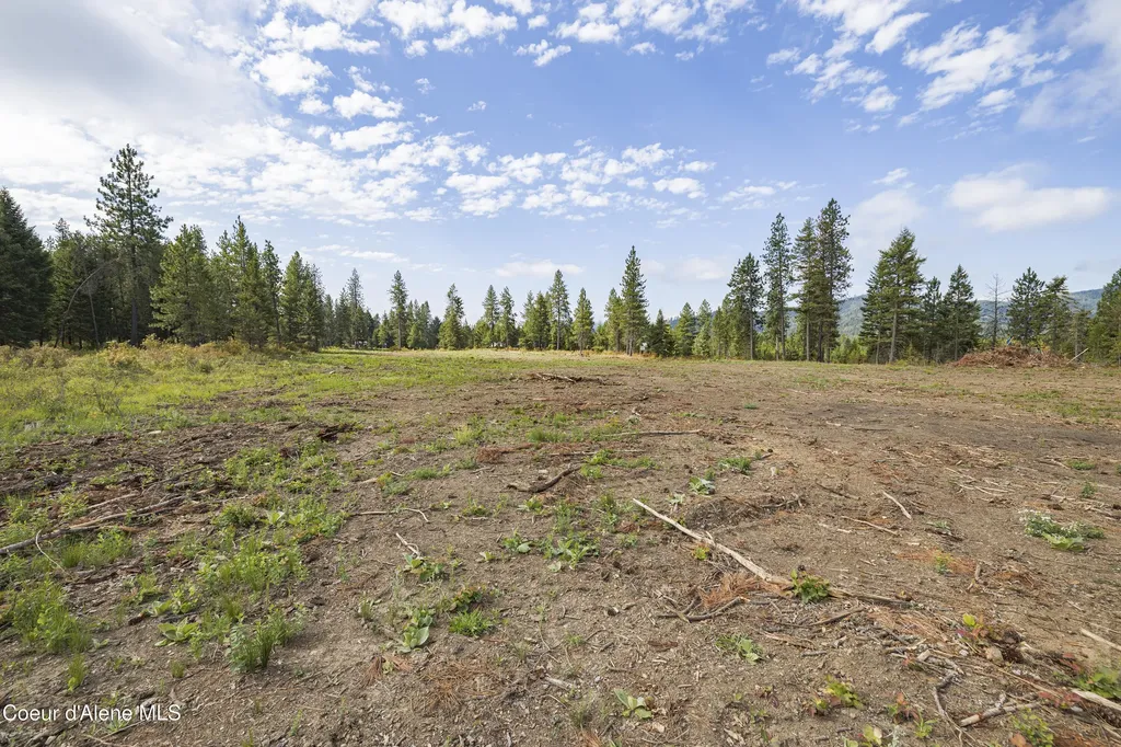 Nka Old Forest Road- Lot 3 Spirit Lake ID 83869