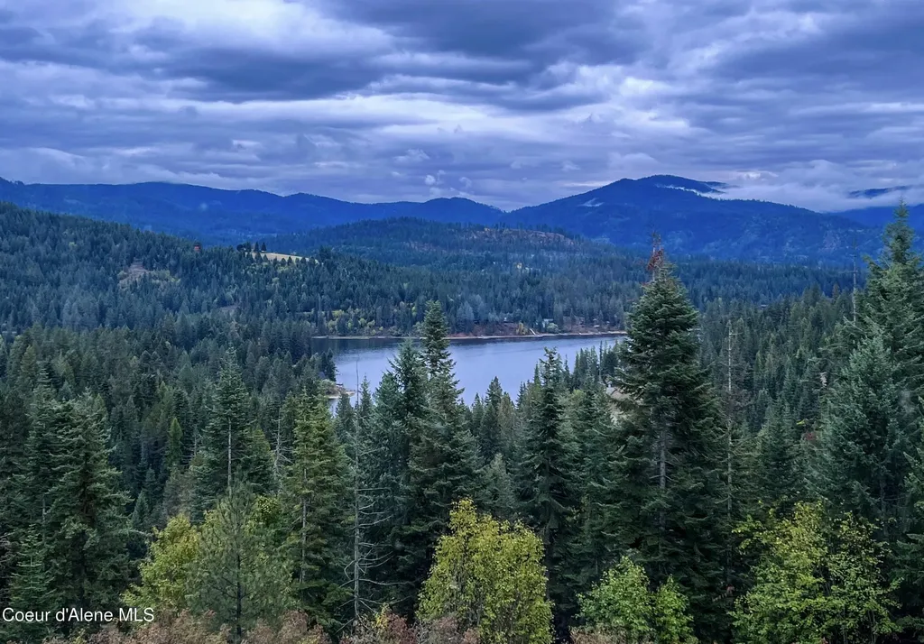 15818 N Morgan Lane Hayden ID 83835