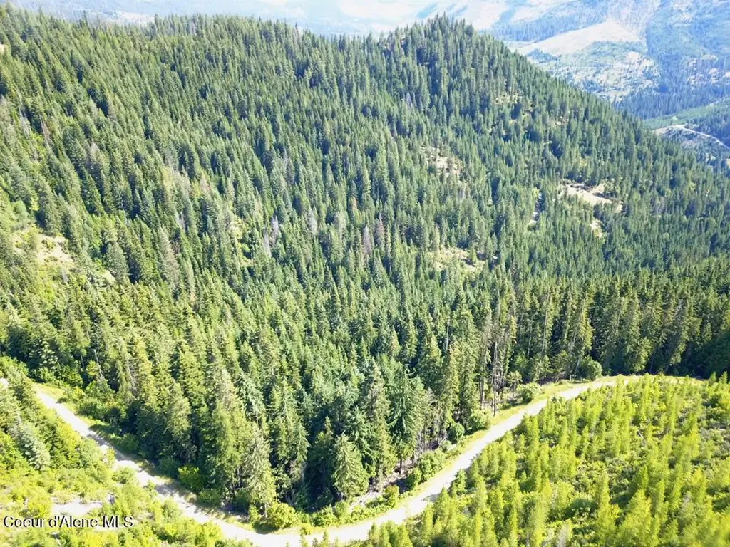 10AC S Latour Creek Road Cataldo ID 83810