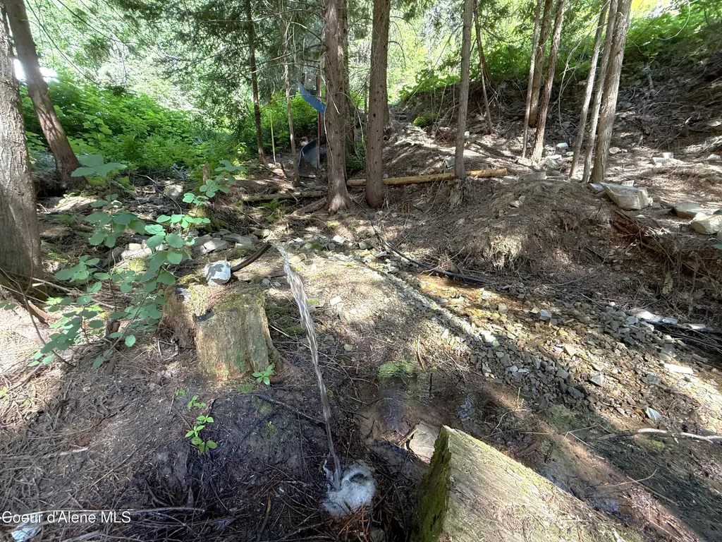 10AC S Latour Creek Road Cataldo ID 83810