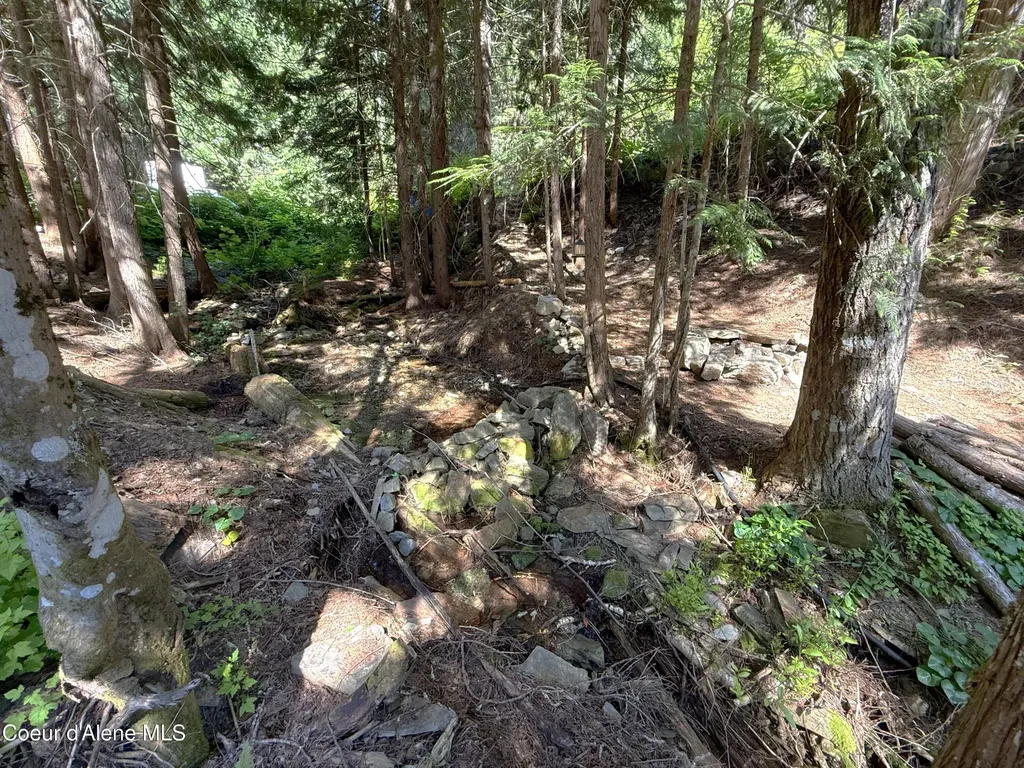 10AC S Latour Creek Road Cataldo ID 83810