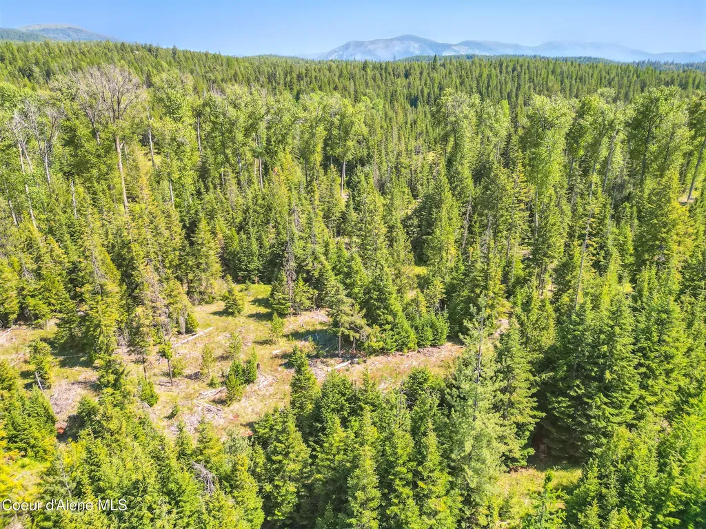 670 Sunset Road Athol ID 83801