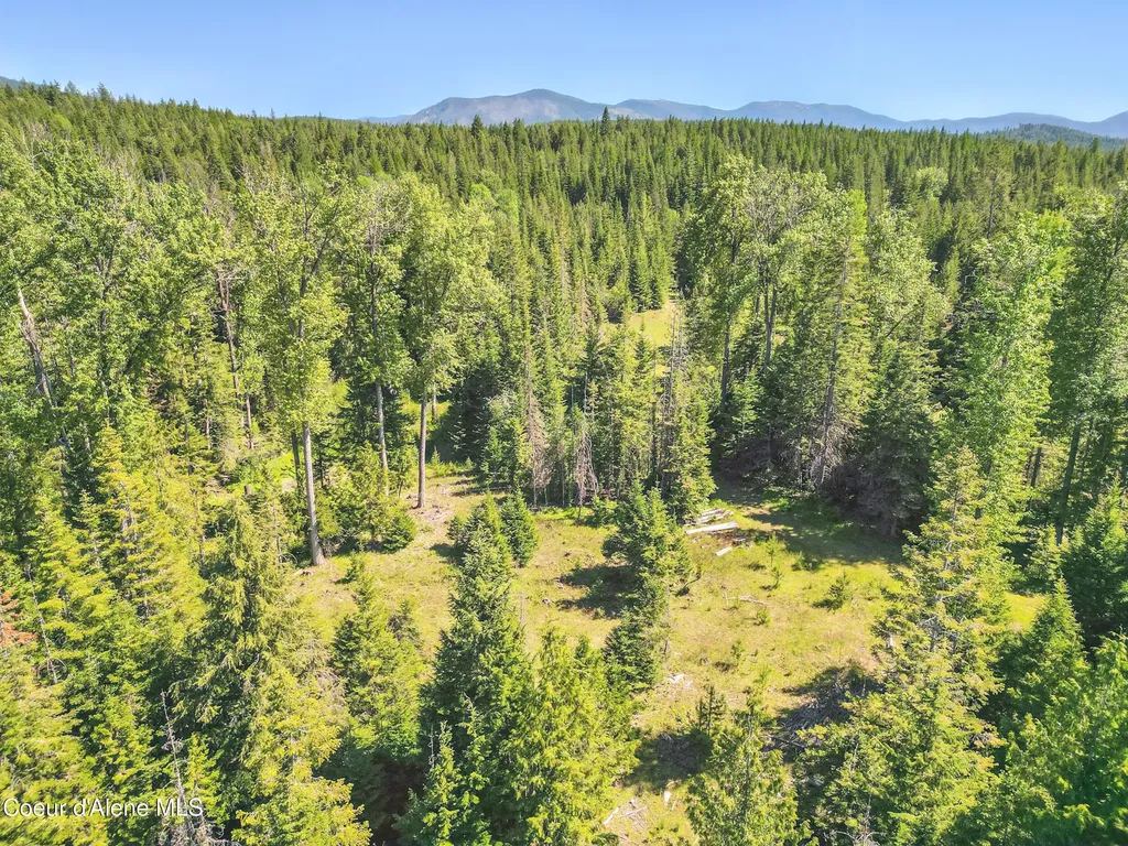 670 Sunset Road Athol ID 83801