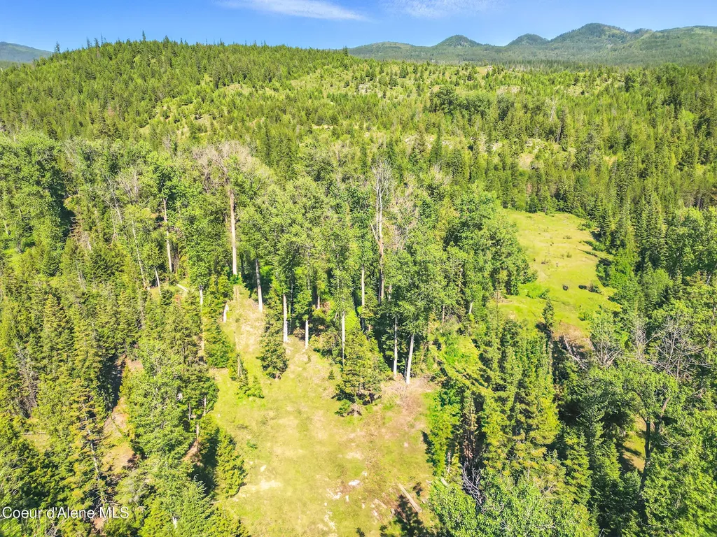 670 Sunset Road Athol ID 83801