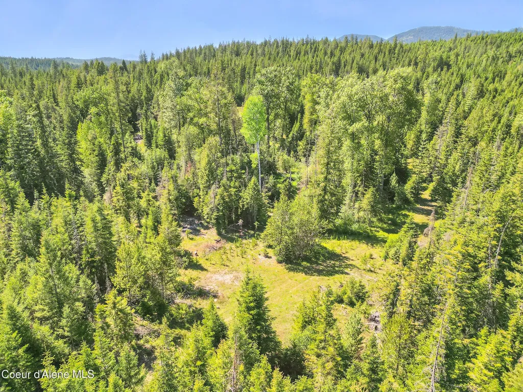 670 Sunset Road Athol ID 83801