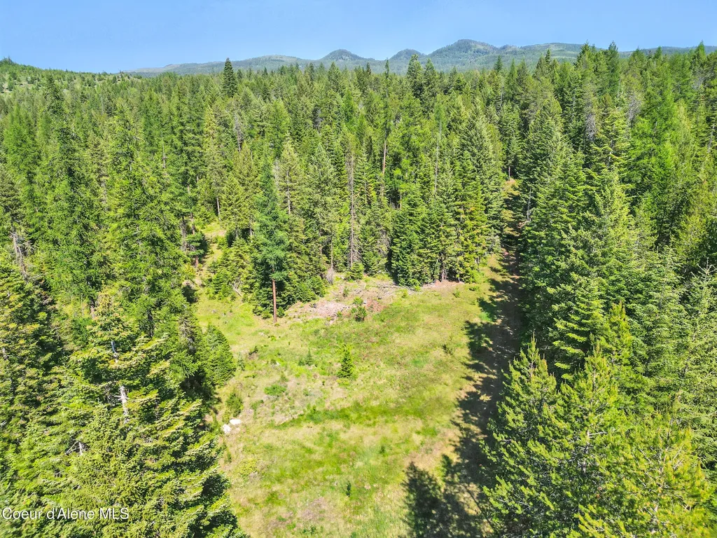 670 Sunset Road Athol ID 83801