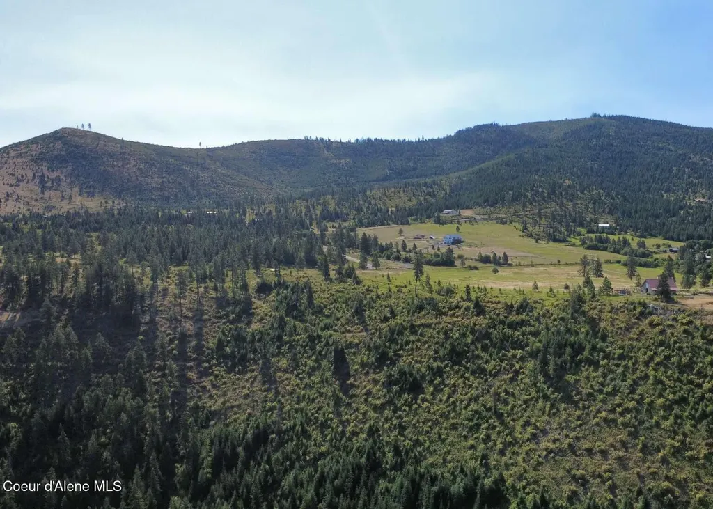 1156 Echo Springs Road St. Maries ID 83861