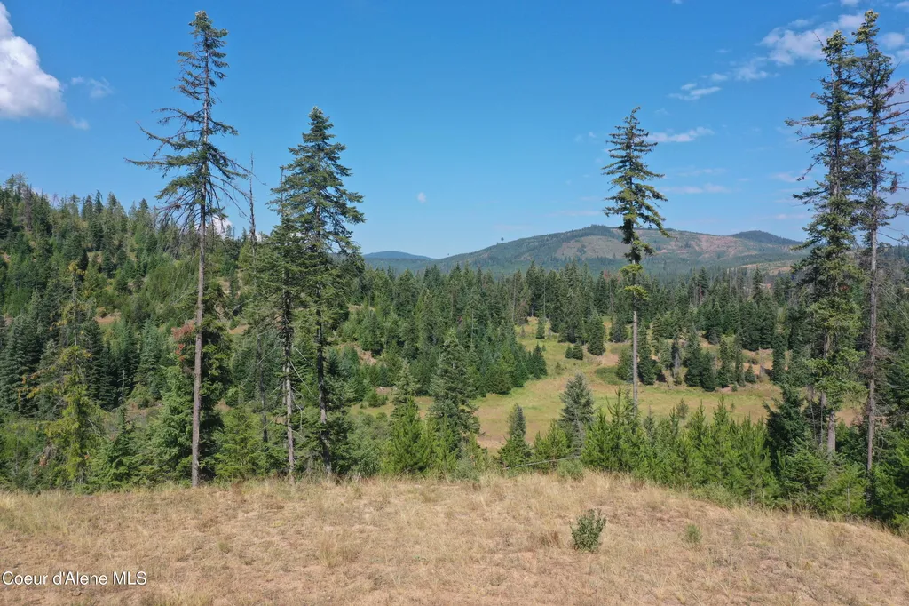 Nka Parcel 1 Patriot's Paradise Fernwood ID 83830