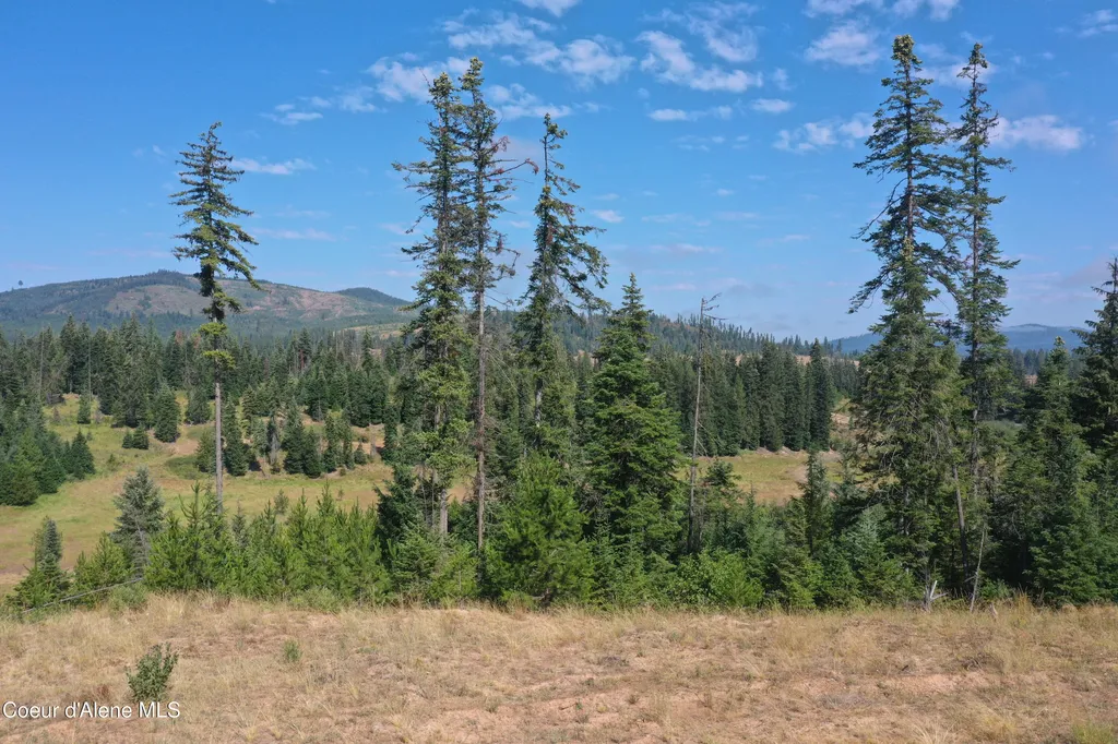 Nka Parcel 1 Patriot's Paradise Fernwood ID 83830