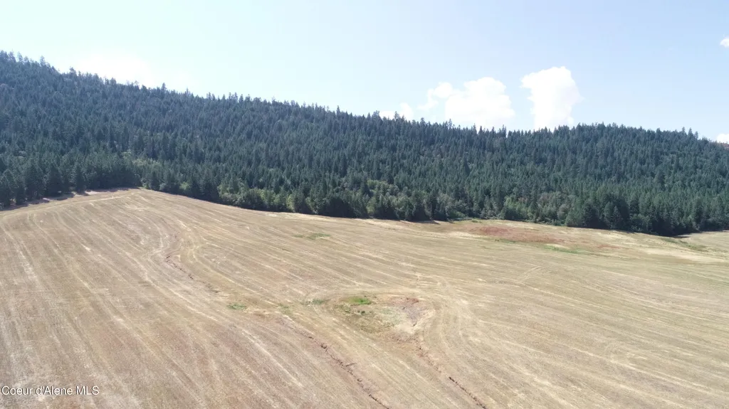 Lot 4 Pebblestone Drive Plummer ID 83851