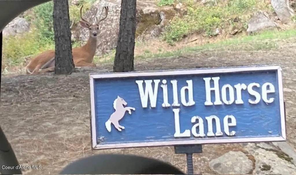 7376 Wild Horse Lane Bonners Ferry ID 83805