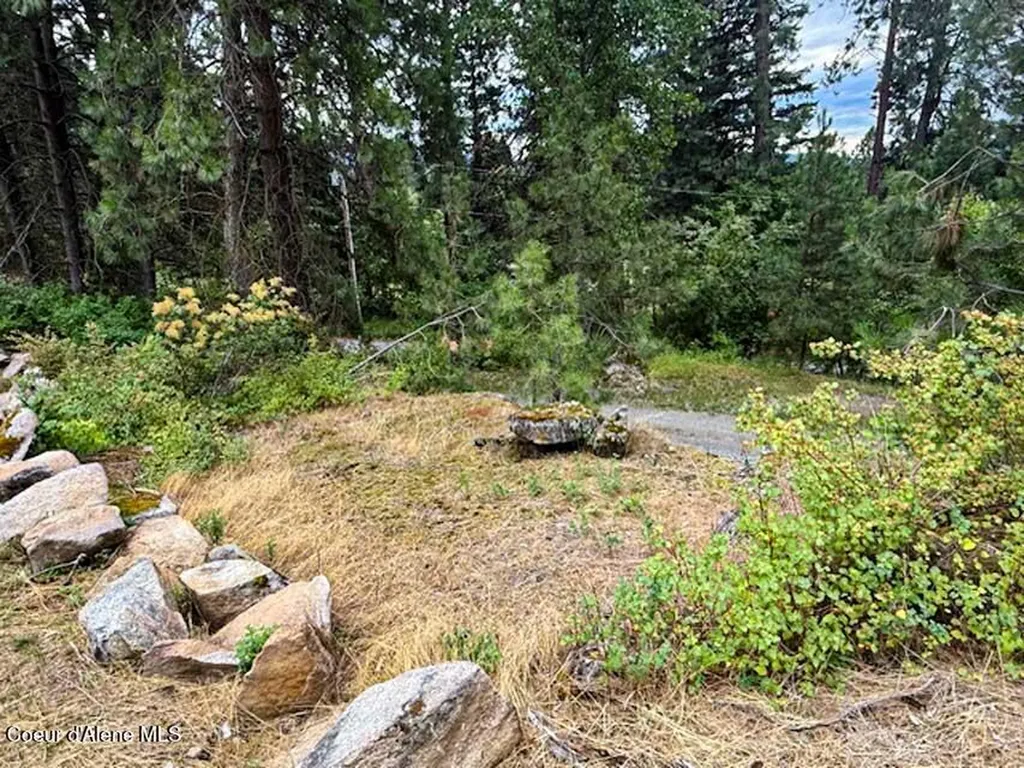7376 Wild Horse Lane Bonners Ferry ID 83805