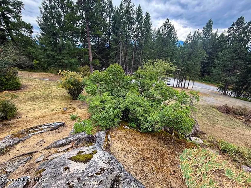 7376 Wild Horse Lane Bonners Ferry ID 83805