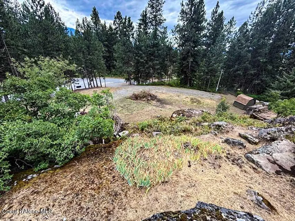 7376 Wild Horse Lane Bonners Ferry ID 83805