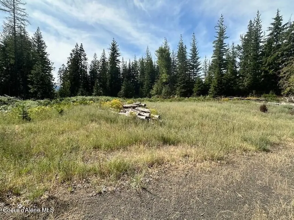 77523 Highway 3 South St. Maries ID 83861