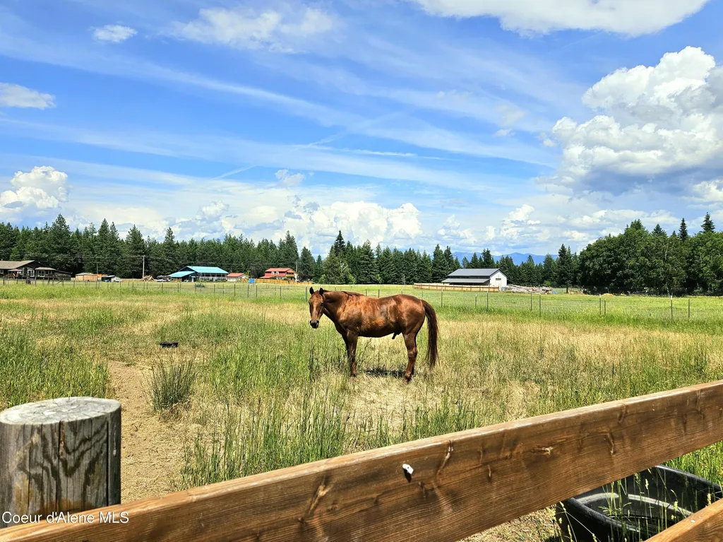 235 Shamrock Road Bonners Ferry ID 83805
