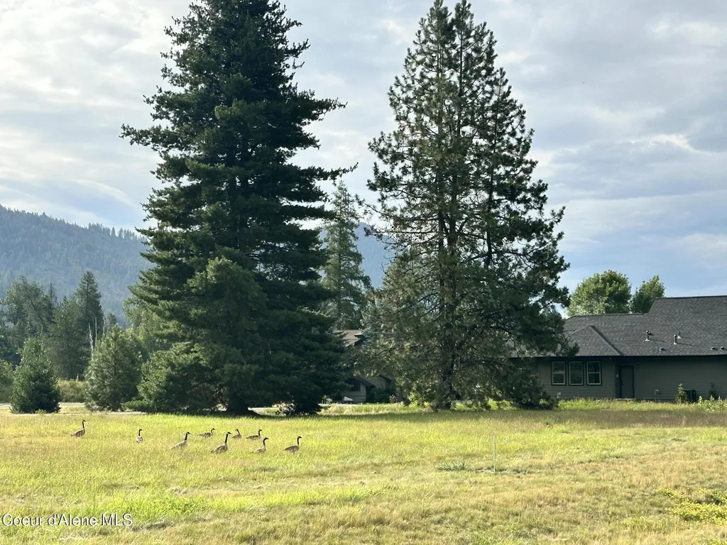 Nna Marie Victoria Court Sandpoint ID 83864