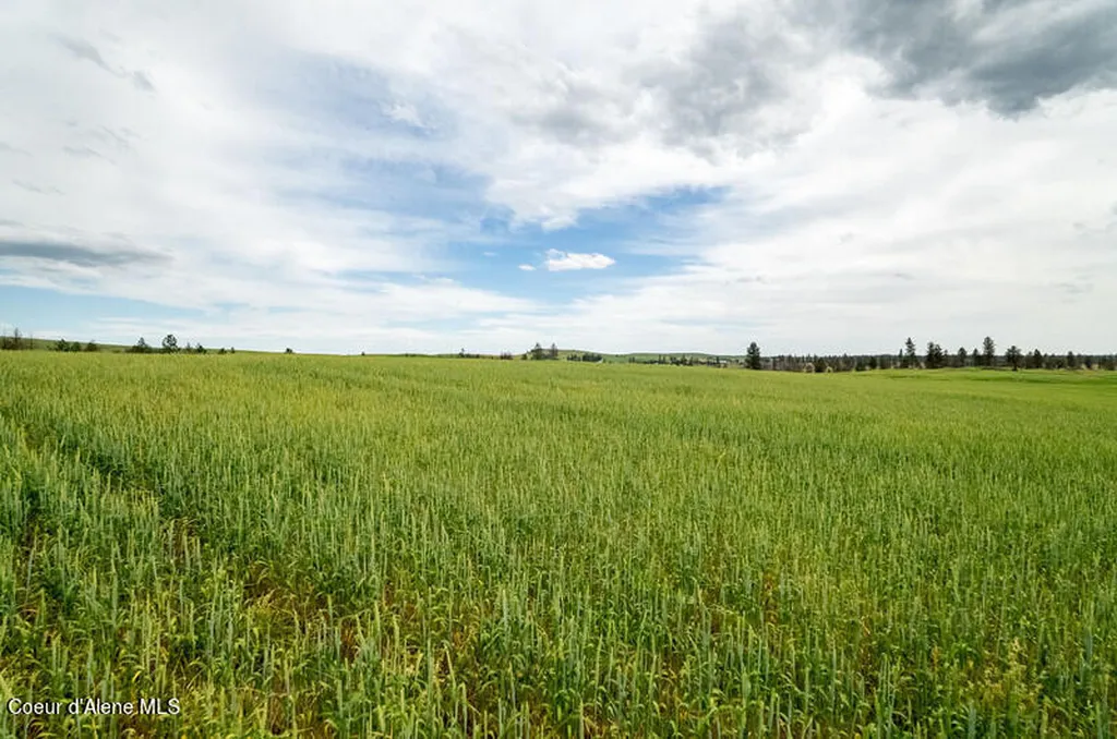 Nka Lambridge Lane Lot 3 Medical Lake WA 99022
