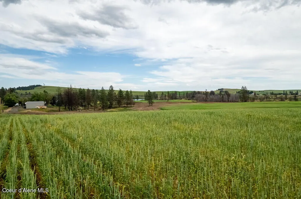 Nka Lambridge Lane Lot 1 Medical Lake WA 99022