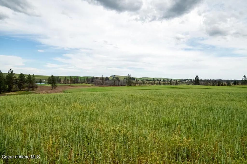 Nka Lambridge Lane Lot 1 Medical Lake WA 99022