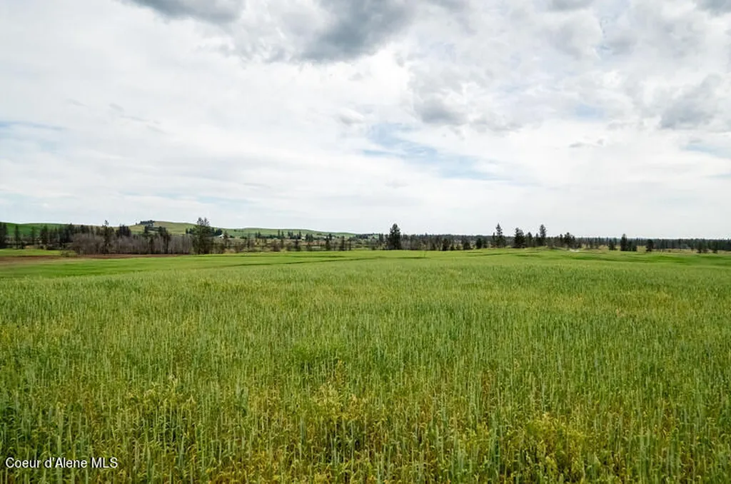 Nka Lambridge Lane Lot 1 Medical Lake WA 99022