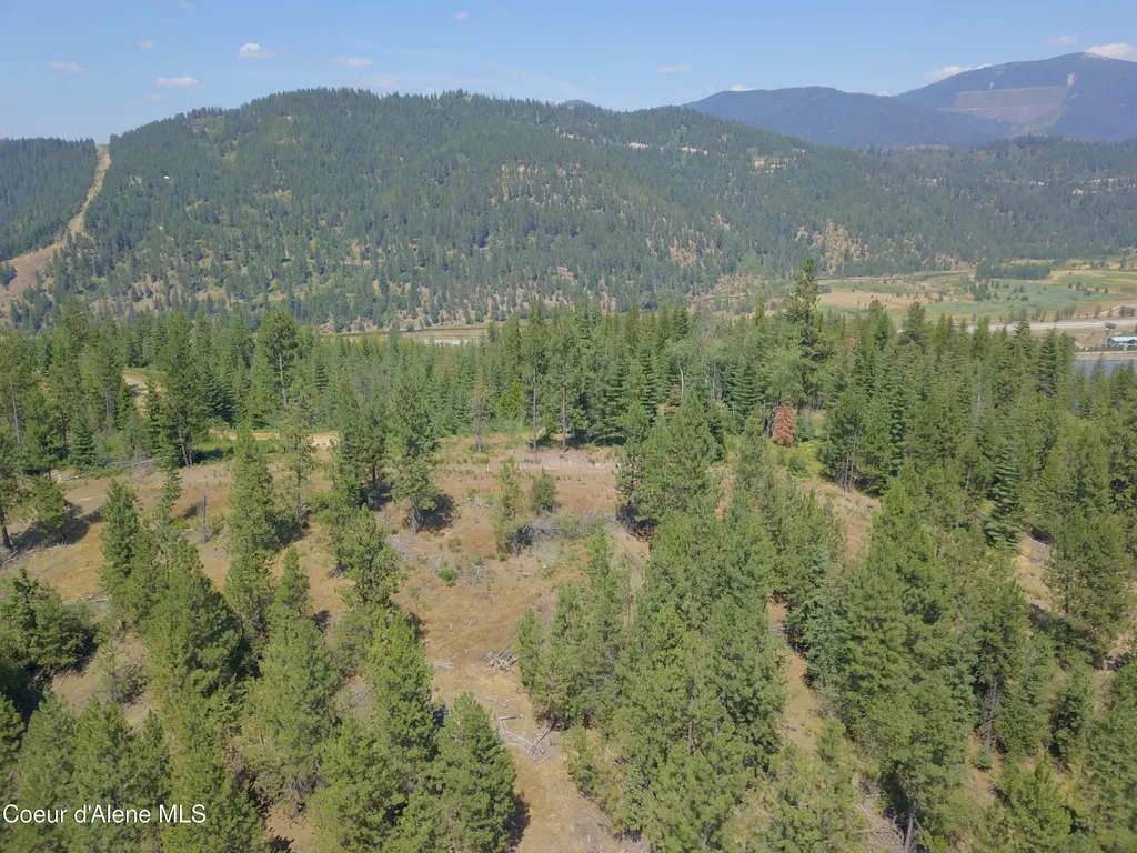 Lot A Blue Star Lane Pinehurst ID 83850
