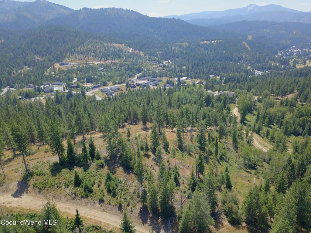 Lot A Blue Star Lane Pinehurst ID 83850