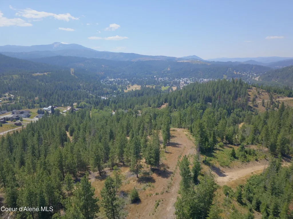 Lot A Blue Star Lane Pinehurst ID 83850