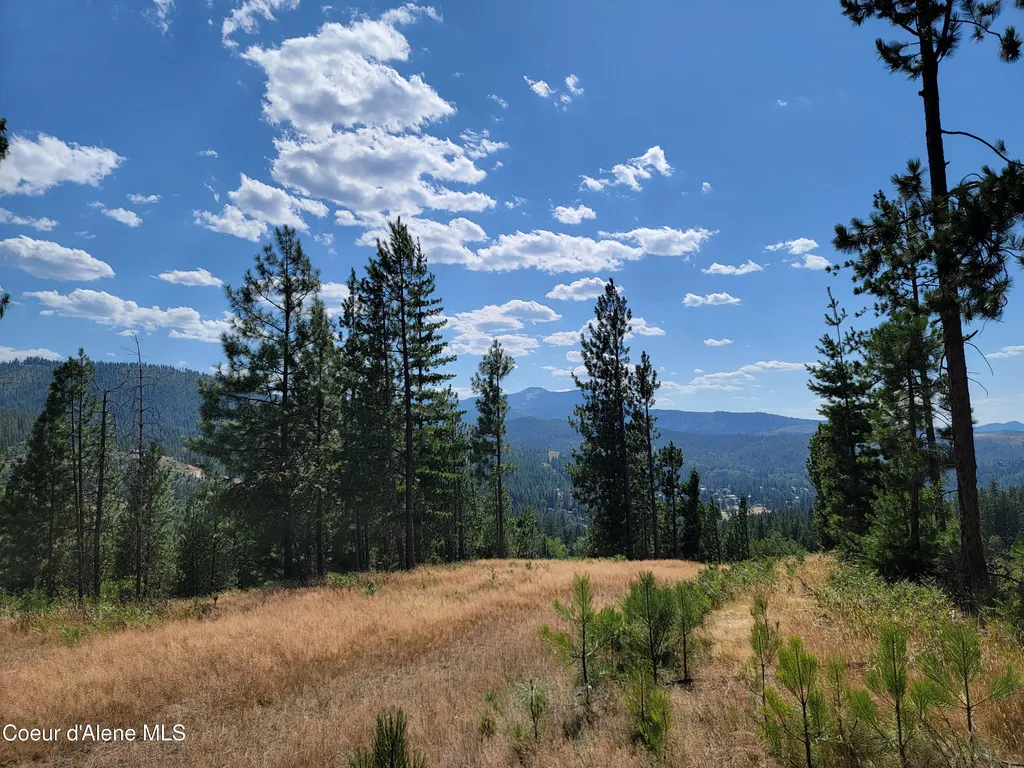 Lot A Blue Star Lane Pinehurst ID 83850