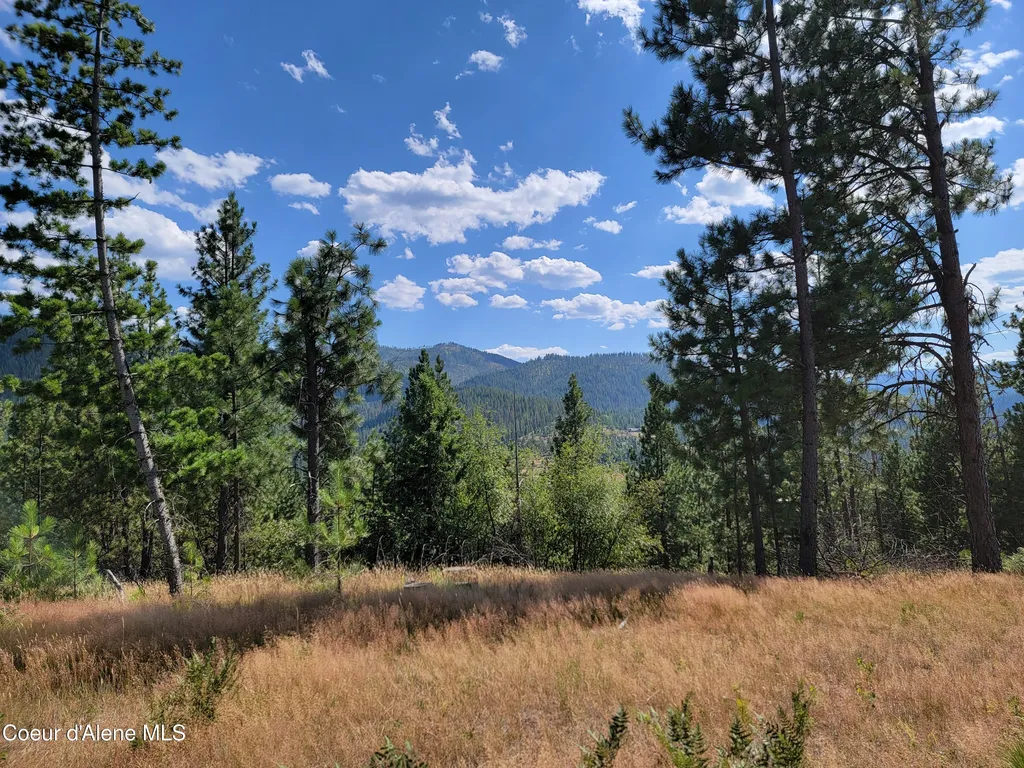 Lot A Blue Star Lane Pinehurst ID 83850