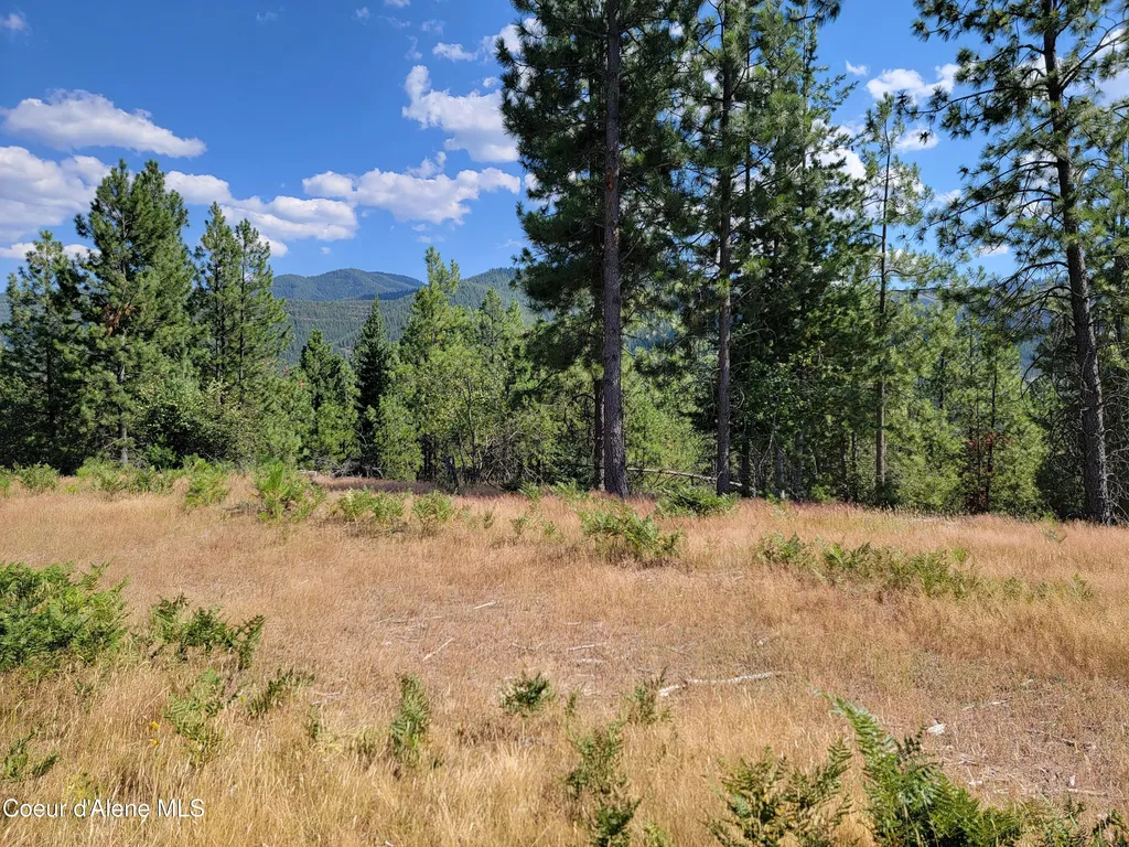 Lot A Blue Star Lane Pinehurst ID 83850