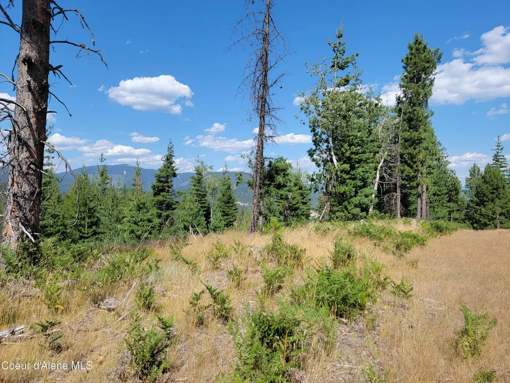 Lot A Blue Star Lane Pinehurst ID 83850
