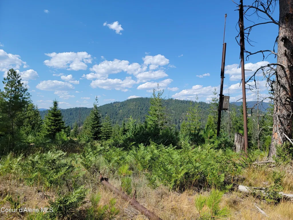 Lot A Blue Star Lane Pinehurst ID 83850