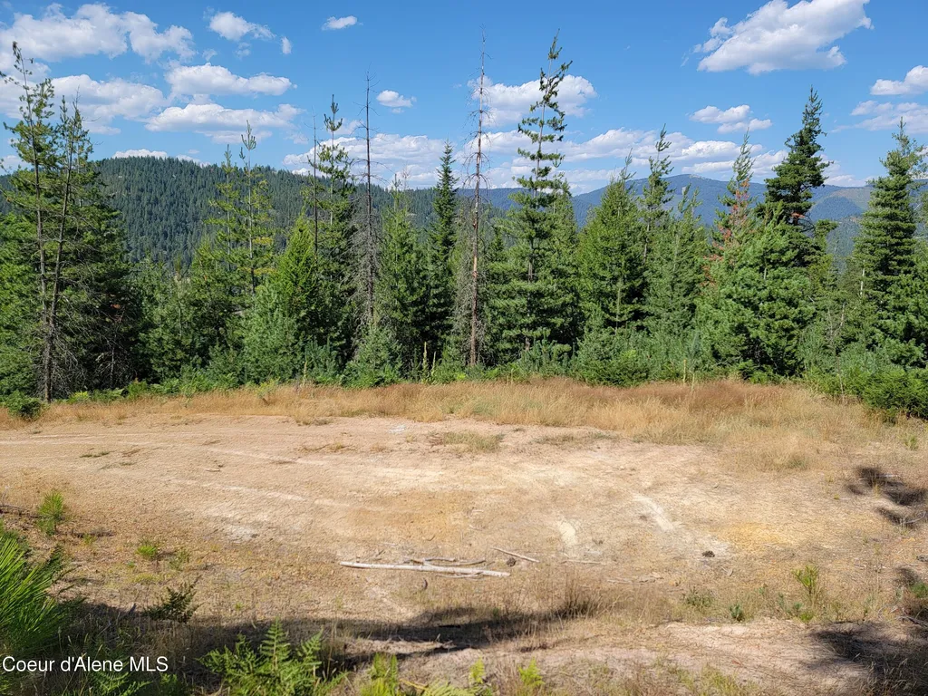 Lot A Blue Star Lane Pinehurst ID 83850