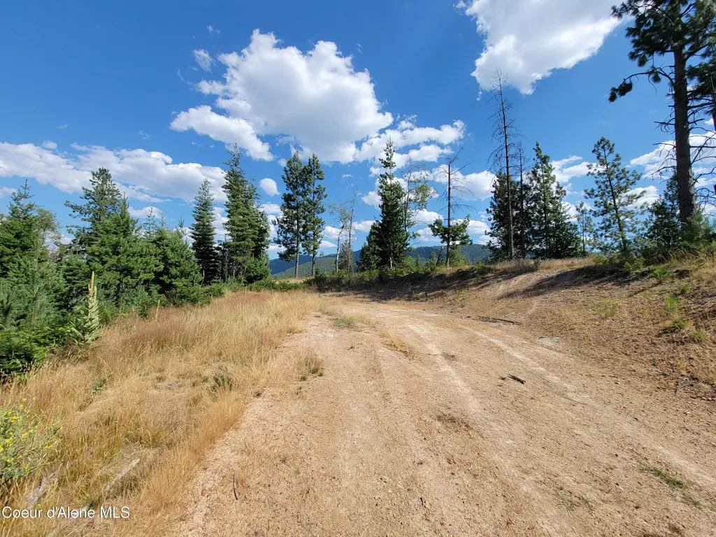 Lot A Blue Star Lane Pinehurst ID 83850