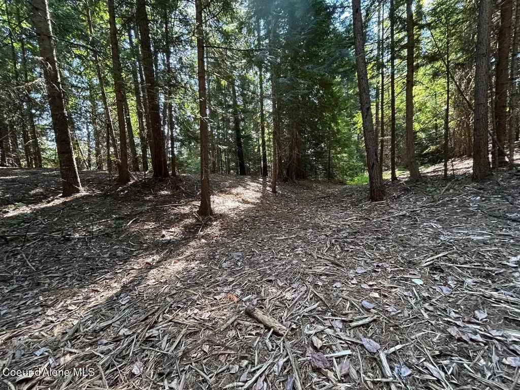 Lot 7 Bk 1 Fall Creek Road Naples ID 83847